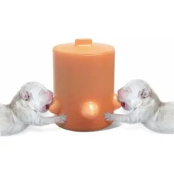 Mangeoire à Lait En Silicone Pour Chiot, 5 Tétines Pour Station De Soins Infirmiers Bol Dispositif D'auto-alimentation Bionique Pour Bébé Animal De Compagnie/chiot/chat Chien