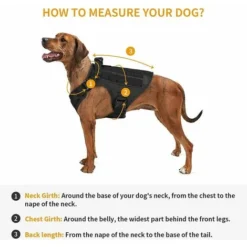 Harnais Tactique Pour Chien Avec Poignée Grand Gilet Militaire Molle Boucles En Métal Réglables Sans Traction Pour Chiens De Travail, Noir, L -Promos Patto Chou Boutique 76524684 4