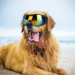 Lunettes De Soleil UV Pour Chiens De Grande Taille Et Moyenne