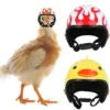 Chapeau De Casque De Poulet Casques Pour Animaux De Compagnie Petit Casque De Poulet Oiseau Chapeau Chapeaux Drôle Poulet Petit Animal Casque Casque Convient Pour Poulets Poules Animal Oiseau