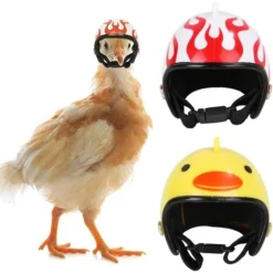 Chapeau De Casque De Poulet Casques Pour Animaux De Compagnie Petit Casque De Poulet Oiseau Chapeau Chapeaux Drôle Poulet Petit Animal Casque Casque Convient Pour Poulets Poules Animal Oiseau