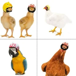 Chapeau De Casque De Poulet Casques Pour Animaux De Compagnie Petit Casque De Poulet Oiseau Chapeau Chapeaux Drôle Poulet Petit Animal Casque Casque Convient Pour Poulets Poules Animal Oiseau -Promos Patto Chou Boutique 76663625 3
