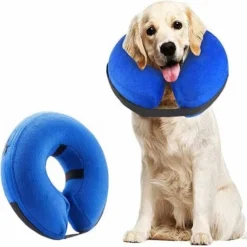 GP Collier Pour Chien Collier De Protection Gonflable Collier De Protection Collier Réglable Pour Animaux Collier De Protection Confortable Avec Velcro Bleu M