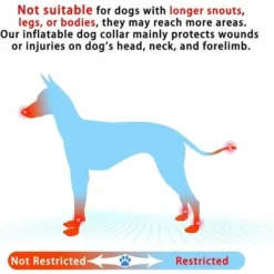 GP Collier Pour Chien Collier De Protection Gonflable Collier De Protection Collier Réglable Pour Animaux Collier De Protection Confortable Avec Velcro Bleu M -Promos Patto Chou Boutique 78394392 4