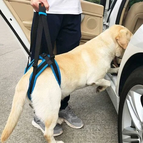 Harnais De Soutien Pour Chien, Confortable Et Respirant Harnais De Soutien Avant Et Arrière Chien De 2 Types, Utilisé Les Chiens Rééducation De Petite Et Grande Récupération Pour Chiens Agés (S), Kuea 5 Harnais De Soutien Pour Chien, Confortable Et Respirant Harnais De Soutien Avant Et Arrière Chien De 2 Types, Utilisé Les Chiens Rééducation De Petite Et Grande Récupération Pour Chiens Agés (S), Kuea – Image 5