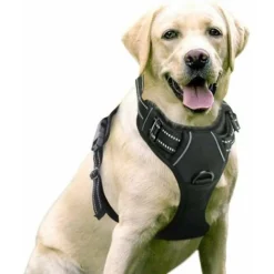 Harnais Chien Anti Traction, Arnet Pour Chien Facile à Mettre Harnais Réfléchissant Réglable Avec Attache Devant Easy Walk Arnais Pour Chien Moyen, Large, Couleur Noir