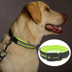 Collier Pour Chien, Bandes Réfléchissantes Nocturne Collier Confortable Et Souple Réglable, Pour Les Chiens De Petite Et Moyenne -Promos Patto Chou Boutique 81245590 5