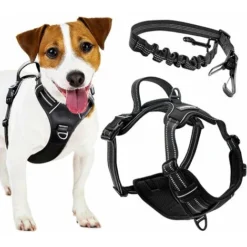 Harnais Pour Chien Anti-traction - FIRSTPAW - Ajustable, Confortable, Réfléchissant - Une Ceinture De Voiture Incluse - S