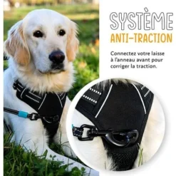 Harnais Pour Chien Anti-traction - FIRSTPAW - Ajustable, Confortable, Réfléchissant - Une Ceinture De Voiture Incluse - S 7 Harnais Pour Chien Anti-traction - FIRSTPAW - Ajustable, Confortable, Réfléchissant - Une Ceinture De Voiture Incluse - S -Promos Patto Chou Boutique 82241929 3