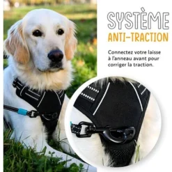 Harnais Pour Chien Anti-traction - FIRSTPAW - Ajustable, Confortable, Réfléchissant - Une Ceinture De Voiture Incluse - L -Promos Patto Chou Boutique 82241933 3