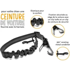Harnais Pour Chien Anti-traction - FIRSTPAW - Ajustable, Confortable, Réfléchissant - Une Ceinture De Voiture Incluse - L -Promos Patto Chou Boutique 82241933 5