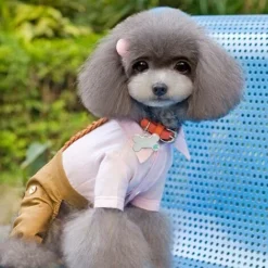 Medaille Chien, Étiquettes De Chien, Sculpture De Bricolage Médaille Didentification Pour Chat Et Chien, Étiquettes Didentification Personnalisées En Acier Inoxydable -Promos Patto Chou Boutique 84061935 3