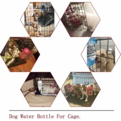 Bouteille De Chat De Bouilloire De Chien De Distributeur D'eau De Chien De Fontaines D'eau D'animal Familier Avec L'eau Alimentant Automatiquement -Promos Patto Chou Boutique 85332748 3