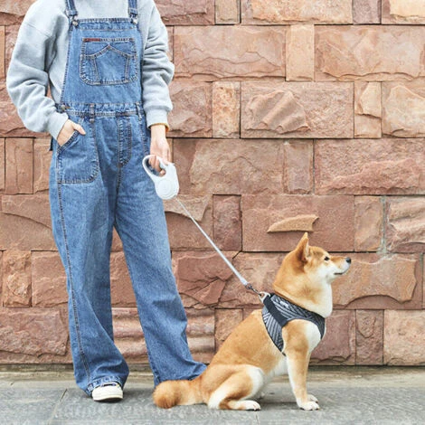 PETKIT GOFree Laisse Chien Enrouleur 3m Rétractable Avec Poignée Antidérapante, Laisse En Nylon Solide Pour Les Animaux Jusqu'à 30kgs, Laisse De Promenade Pour Chien.(M) 3 PETKIT GOFree Laisse Chien Enrouleur 3m Rétractable Avec Poignée Antidérapante, Laisse En Nylon Solide Pour Les Animaux Jusqu'à 30kgs, Laisse De Promenade Pour Chien.(M) – Image 3