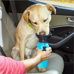 Gourde Avec écuelle Intégrée De 600 Ml - Pour Chien - Idéale Pour Voyage En Voiture Bleu -Promos Patto Chou Boutique 87234093 5