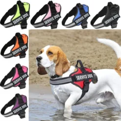 16IDC-P-2, Harnais IDC Power, Taille: 2, Noir -Promos Patto Chou Boutique 88768760 5