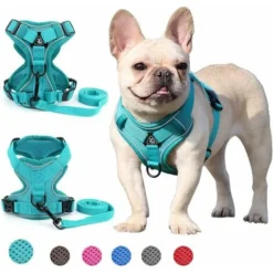 CKNGFV Harnais Pour Chien De Petite Et Moyenne Taille (vert L)