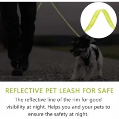 Laisse Chien Enrouleur Pour Gros Chien Jusqu'à 50kg, Ruban En Nylon Solide Extensible à 5M, Rétractable Avec Coutures Réfléchissantes Lumineuses, Frein à Une Main, Pause, Verrouillage (Vert) 7 Laisse Chien Enrouleur Pour Gros Chien Jusqu'à 50kg, Ruban En Nylon Solide Extensible à 5M, Rétractable Avec Coutures Réfléchissantes Lumineuses, Frein à Une Main, Pause, Verrouillage (Vert) -Promos Patto Chou Boutique 89768202 3
