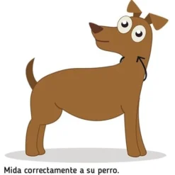 Ibanez Colliers Martingale Colliers Imprimés MARTINGALE COLLIER ETHNIQUE ROUGE 4 X 30-46CM 7 Ibanez Colliers Martingale Colliers Imprimés MARTINGALE COLLIER ETHNIQUE ROUGE 4 X 30-46CM -Promos Patto Chou Boutique 90539500 4