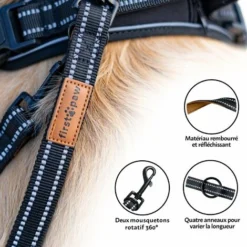 Laisse D'éducation Multifonctionnelle Pour Chien - 2 Mètres - FIRSTPAW - Laisse Mains Libres - Formation - Longe Pour Chiens -Promos Patto Chou Boutique 90686774 3