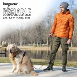 Laisse D'éducation Multifonctionnelle Pour Chien - 2 Mètres - FIRSTPAW - Laisse Mains Libres - Formation - Longe Pour Chiens -Promos Patto Chou Boutique 90686774 4