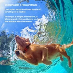 XICHAO - Collier Anti Aboiement Chien, Collier De Dressage Pour Chien Avec Télécommande De 500 Mètres, Récepteur Étanche IP67 Rechargeable Avec 3 Modes Vibration/Beep Sonore/Choc -Promos Patto Chou Boutique 91106231 3