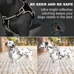 Harnais Chien Réfléchissant Anti Traction Rembourré Réglable Respirant Pour Les Chiens De Taille Moyenne/Petite (XL, Gris) -Promos Patto Chou Boutique 92383210 4