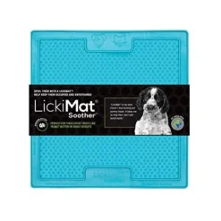 LICKIMAT SUCETTE CHIEN TURQUOISE 693544