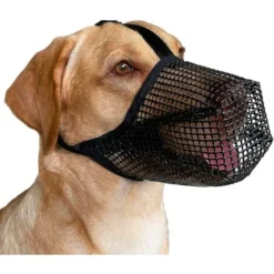 Muselière Pour Chien Avec Sangles Réglables, Muselières Recouvertes De Filet Doux Pour Petits Chiens De Taille Moyenne - Noir M