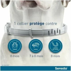 LTS FAFA Chien Collier Anti-Puces Et Anti-Tiques +8kg 2 Unités -Promos Patto Chou Boutique 92680043 4