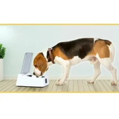 Gamelle à Capteur Infrarouge 330Ml, Acier Inoxydable, Couvercle à Ouverture/Fermeture Automatique, Avec Câble De Chargement Usb, 3-5 Minutes De Repos, Convient Aux Chats, Chiens -Promos Patto Chou Boutique 93579376 4