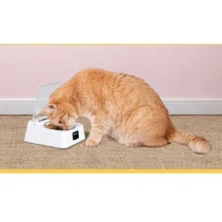Gamelle à Capteur Infrarouge 330Ml, Acier Inoxydable, Couvercle à Ouverture/Fermeture Automatique, Avec Câble De Chargement Usb, 3-5 Minutes De Repos, Convient Aux Chats, Chiens -Promos Patto Chou Boutique 93579376 5