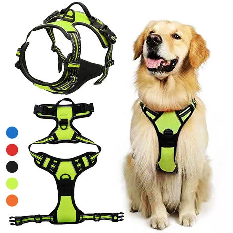 Rouge, Taille M-True Love Harnais Chien Anti Traction Pour Chien Réfléchissant Réglable, Arnet Pour Chien Facile à Mettre Réglable Avec Harnais Pour Chien 2 Rouge, Taille M-True Love Harnais Chien Anti Traction Pour Chien Réfléchissant Réglable, Arnet Pour Chien Facile à Mettre Réglable Avec Harnais Pour Chien – Image 2