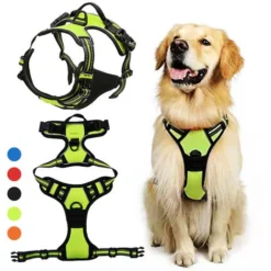 Promos Patto Chou Boutique -Promos Patto Chou Boutique 94050648 2