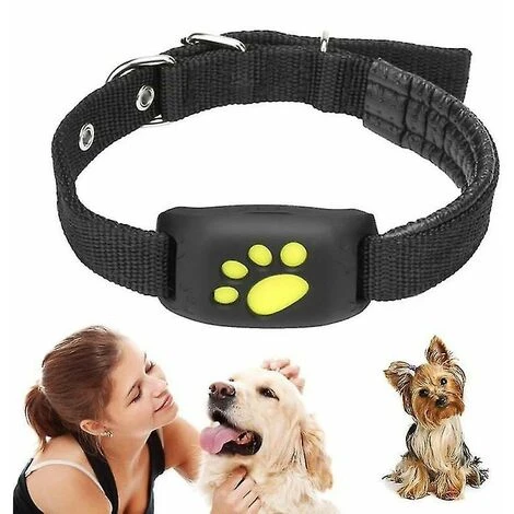 Chiens Chats Suivi GPS Collier De Suivi GPS Pour Animaux De Compagnie Dispositif Anti-perte Localisateur De Suivi En Temps Réel Colliers Pour Animaux De Compagnie Avec Application Micro Gratuite 3 Chiens Chats Suivi GPS Collier De Suivi GPS Pour Animaux De Compagnie Dispositif Anti-perte Localisateur De Suivi En Temps Réel Colliers Pour Animaux De Compagnie Avec Application Micro Gratuite – Image 3
