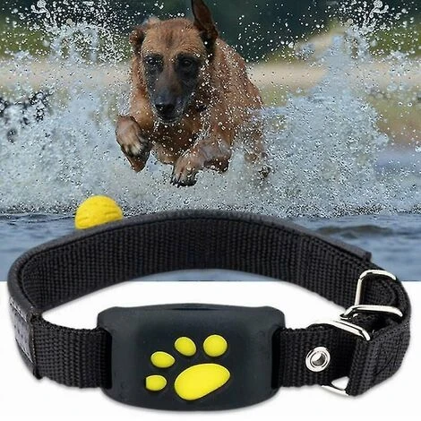 Chiens Chats Suivi GPS Collier De Suivi GPS Pour Animaux De Compagnie Dispositif Anti-perte Localisateur De Suivi En Temps Réel Colliers Pour Animaux De Compagnie Avec Application Micro Gratuite 4 Chiens Chats Suivi GPS Collier De Suivi GPS Pour Animaux De Compagnie Dispositif Anti-perte Localisateur De Suivi En Temps Réel Colliers Pour Animaux De Compagnie Avec Application Micro Gratuite – Image 4