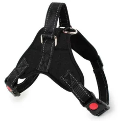 Harnais Pour Chien Sans Traction, Confort Réglable Et Respirable, Laisse Incluse, Pour Petit Moyen Et Grand Chiens, Idéal Pour L'Entra Nement Et La Marche M Noir
