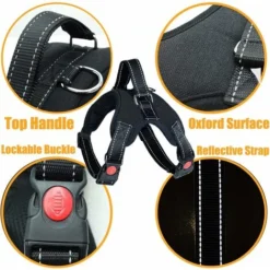 Harnais Pour Chien Sans Traction, Confort Réglable Et Respirable, Laisse Incluse, Pour Petit Moyen Et Grand Chiens, Idéal Pour L'Entra Nement Et La Marche M Noir -Promos Patto Chou Boutique 94926361 3