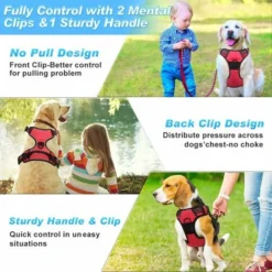 Super Dog Harnais Anti-Traction Réglable Harnais De Poitrine Oxford En Nylon Réfléchissant Pour Grands, Moyens Et Petits Chiens L -Promos Patto Chou Boutique 95024433 4