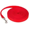 Laisse De Dressage Pour Chien (10M Rouge) Longue Sangle En Nylon Mains Libre Pour Chiens Chats Animal De Compagnie Promenade Arrimage Jogging Laisse Laisse Pour Chien Promenade De Chien Laisse