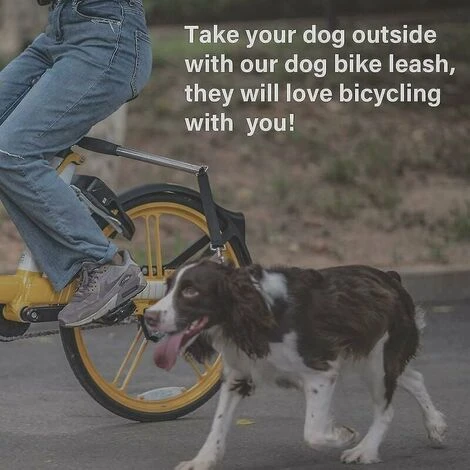 Laisse De Vélo Rétractable Pour Chiens, Laisse De Vélo Mains Libres Pour Chiens 3 Laisse De Vélo Rétractable Pour Chiens, Laisse De Vélo Mains Libres Pour Chiens – Image 3