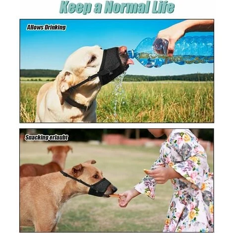 (Noir) 1 Pièce Muselière Réglable Anti-aboiement Avec Anneau En Filet AutocollantMuselière Réglable Anti-aboiement Pour Grands, Moyens Et Petits Chiens. 5 (Noir) 1 Pièce Muselière Réglable Anti-aboiement Avec Anneau En Filet AutocollantMuselière Réglable Anti-aboiement Pour Grands, Moyens Et Petits Chiens. – Image 5