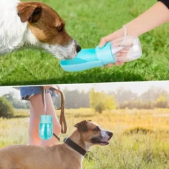 Bouteilles D'eau Pour Chien 280 Ml, Bouteille D'eau De Voyage Pliable Pour Chien, Bouteille D'eau Portable Pour Chien, Chat, Animal De Compagnie, Promenade En Plein Air, Voyage, Boire 9 Bouteilles D'eau Pour Chien 280 Ml, Bouteille D'eau De Voyage Pliable Pour Chien, Bouteille D'eau Portable Pour Chien, Chat, Animal De Compagnie, Promenade En Plein Air, Voyage, Boire -Promos Patto Chou Boutique 95505335 5
