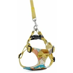 Harnais Pour Chien, Laisse Pour Chien, Harnais De Poitrine De Type Gilet Pour Animal De Compagnie, Chiens Moyens Et Grands, Corde De Marche Pour Chien Golden Retriever