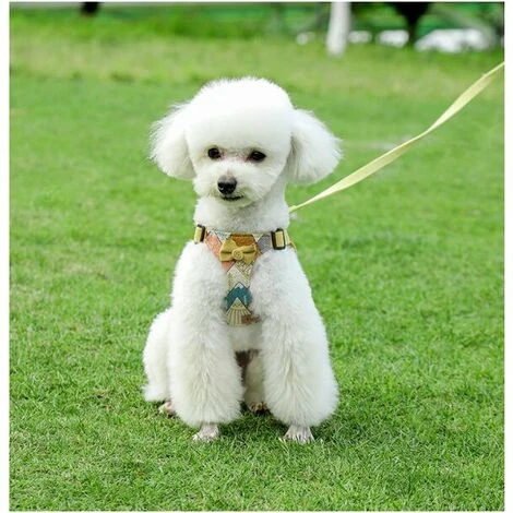 Harnais Pour Chien, Laisse Pour Chien, Harnais De Poitrine De Type Gilet Pour Animal De Compagnie, Chiens Moyens Et Grands, Corde De Marche Pour Chien Golden Retriever 2 Harnais Pour Chien, Laisse Pour Chien, Harnais De Poitrine De Type Gilet Pour Animal De Compagnie, Chiens Moyens Et Grands, Corde De Marche Pour Chien Golden Retriever – Image 2