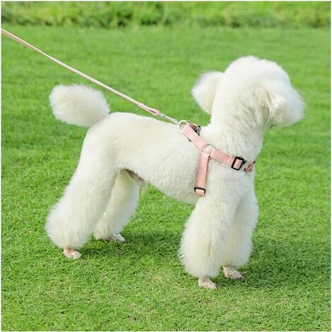 Harnais Pour Chien, Laisse Pour Chien, Harnais De Poitrine De Type Gilet Pour Animal De Compagnie, Chiens Moyens Et Grands, Corde De Marche Pour Chien Golden Retriever 3 Harnais Pour Chien, Laisse Pour Chien, Harnais De Poitrine De Type Gilet Pour Animal De Compagnie, Chiens Moyens Et Grands, Corde De Marche Pour Chien Golden Retriever – Image 3