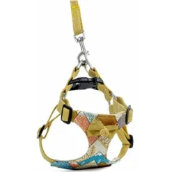 Harnais Pour Chien, Laisse Pour Chien, Harnais De Poitrine De Type Gilet Pour Animal De Compagnie, Chiens Moyens Et Grands, Corde De Marche Pour Chien Golden Retriever 8 Harnais Pour Chien, Laisse Pour Chien, Harnais De Poitrine De Type Gilet Pour Animal De Compagnie, Chiens Moyens Et Grands, Corde De Marche Pour Chien Golden Retriever -Promos Patto Chou Boutique 95865430 4