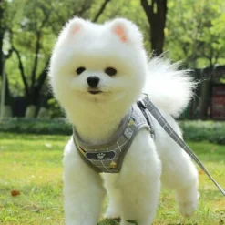 Harnais Pour Chien Ajustable Harnais Gilet RembourréRéfléchissant Doux Respirant Confortable Laisse Pour Petit Chien Chiot MZ083 (L, Grey) 6 Harnais Pour Chien Ajustable Harnais Gilet RembourréRéfléchissant Doux Respirant Confortable Laisse Pour Petit Chien Chiot MZ083 (L, Grey) -Promos Patto Chou Boutique 96337398 3