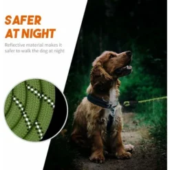 Laisse Pour Chien En Nylon Avec Poignée Rembourrée, Pour La Marche Quotidienne Et Le Dressage, Convient Aux Chiens De Taille Moyenne Et Grande, 1,5 M De Long -Promos Patto Chou Boutique 96715378 4