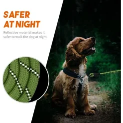 Laisse Pour Chien En Nylon Avec Poignée Rembourrée, Pour La Marche Quotidienne Et Le Dressage, Convient Aux Chiens De Taille Moyenne Et Grande, 1,5 M De Long -Promos Patto Chou Boutique 96715378 5